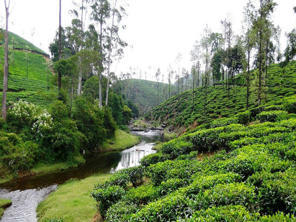 വാല്‍പ്പാറ