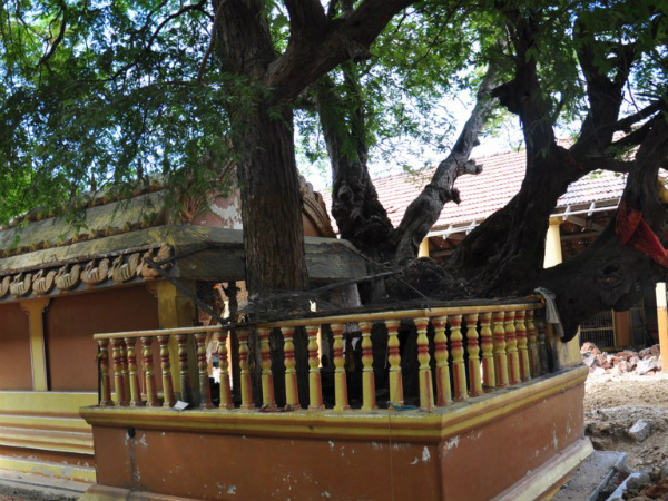 a temple for get rid of alcohol