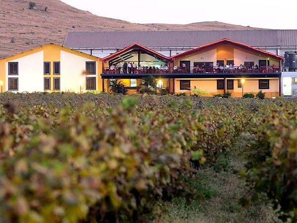  സുല വൈന്‍ യാര്‍ഡ്‌സ്