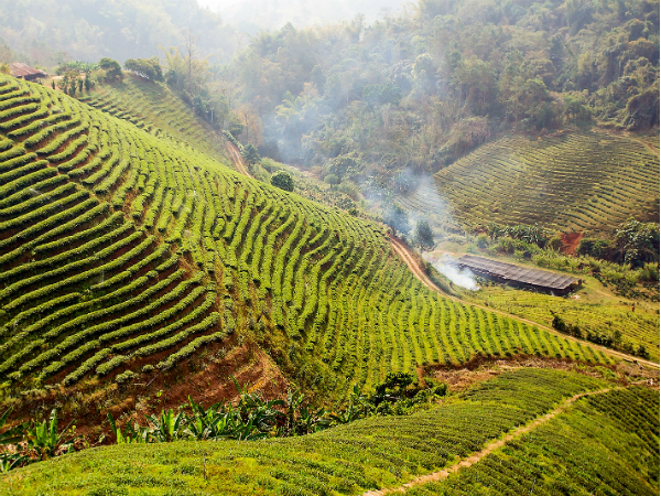 ദാല്‍ഹൗസി