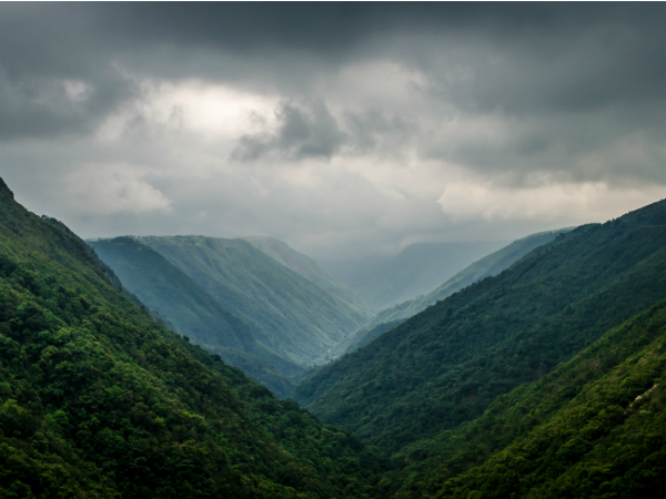 റിസേര്‍ച്ച്