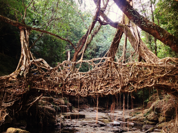 കുറഞ്ഞ സമയം കൂടുതല്‍ സ്ഥലം