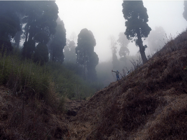  ഡോ ഹില്‍ ഡാര്‍ജലിങ്