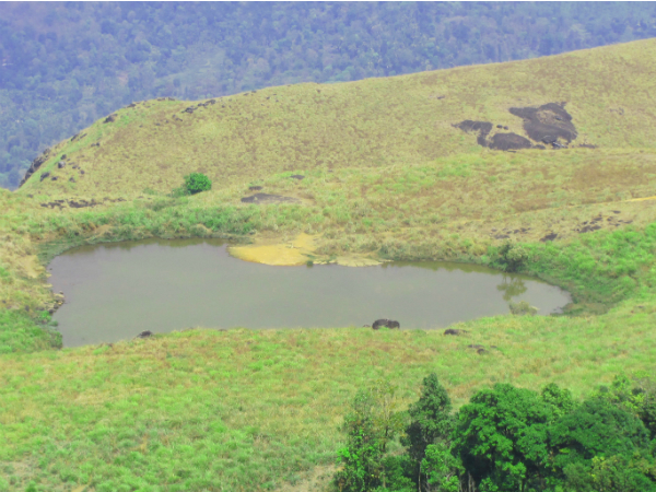 ചെമ്പ്ര പീക്ക് 