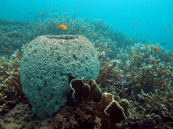 ആന്‍ഡമാന്‍ നിക്കോബാര്‍