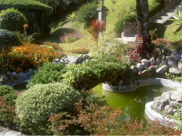 ഓര്‍ക്കിഡുകളുടെ നാട്ടിലൂടെ