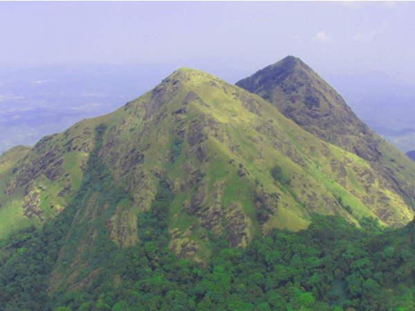 Updates on Wayanad Chembra Peak Trekking