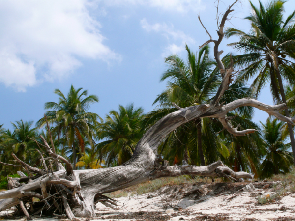 വിമാനമാര്‍ഗ്ഗം