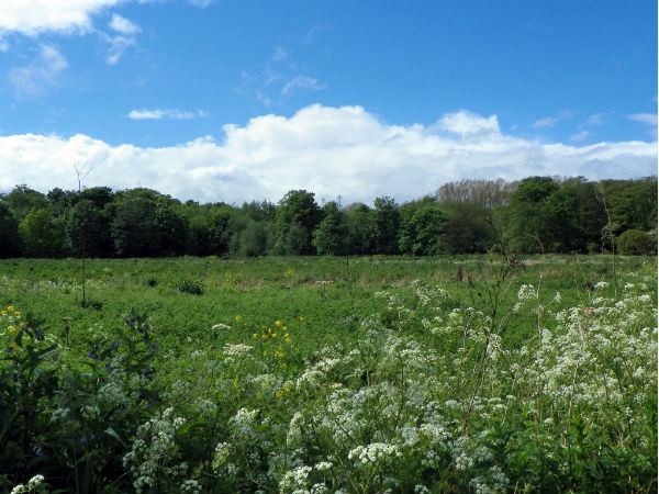 പിന്ദാര്‍ വാലി