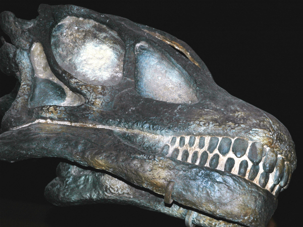 കാണാന്‍ ഒരുപാട് 