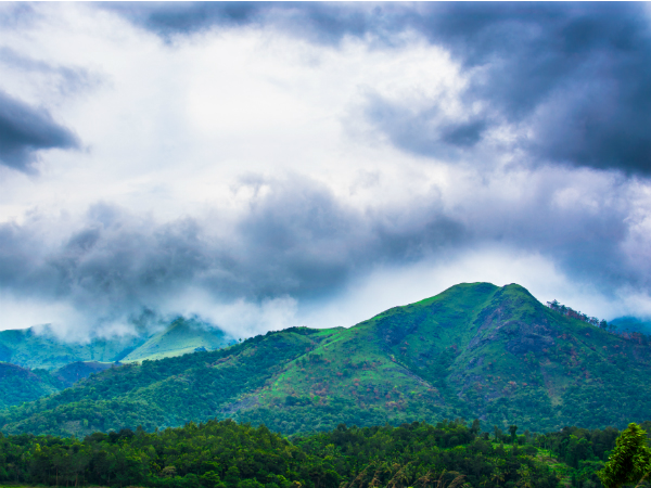 Updates on Wayanad Chembra Peak Trekking