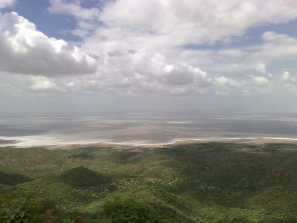 റാന്‍ ഓഫ് കച്ച്