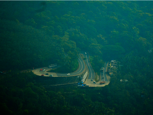 ആത്മാവിനെ ബന്ധിച്ച മരം