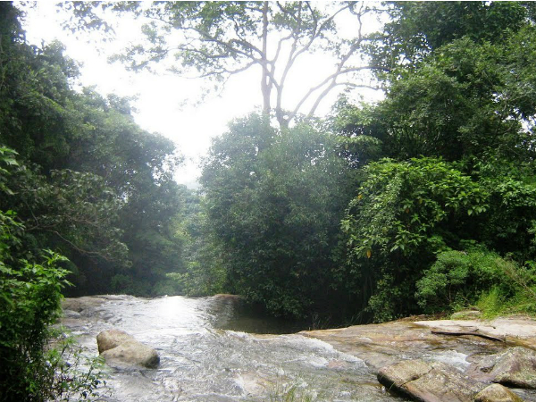 വാതില്‍ക്കലെ പെണ്‍കുട്ടിയും അര്‍ധരാത്രിയിലെ ബഹളങ്ങളും