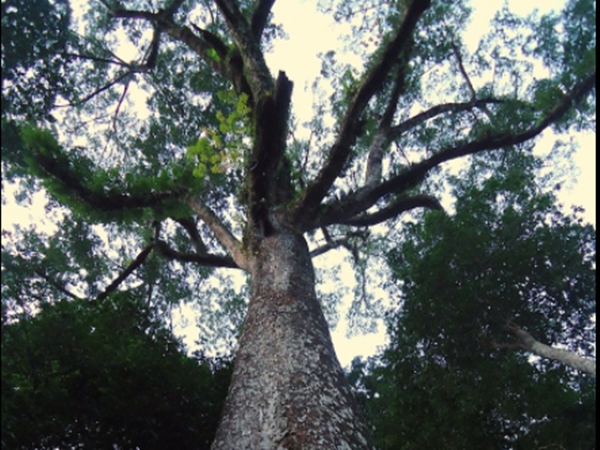 വിശദീകരിക്കാനാവാതെ
