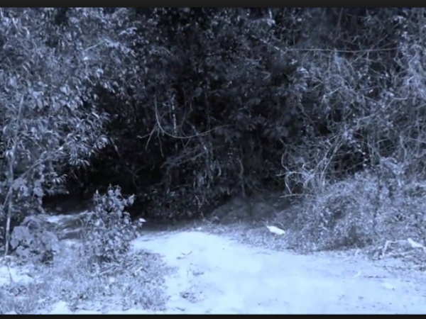 ഹേമാവതി കുളം