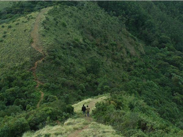 മീശപ്പുലിമല യാത്രയക്കൊരുങ്ങും മുന്‍പ്!
