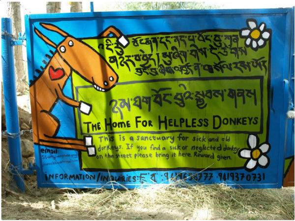  ലേയിലെ ഡോങ്കി സാങ്ച്വറി