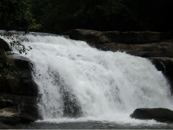 തൊമ്മന്‍കുത്ത്