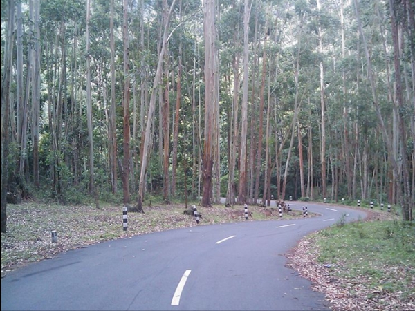 പാമ്പാടുംചോല നാഷണല്‍ പാര്‍ക്ക്
