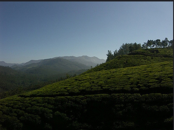 പാലം കടക്കുന്നതിനു മുന്‍പ്