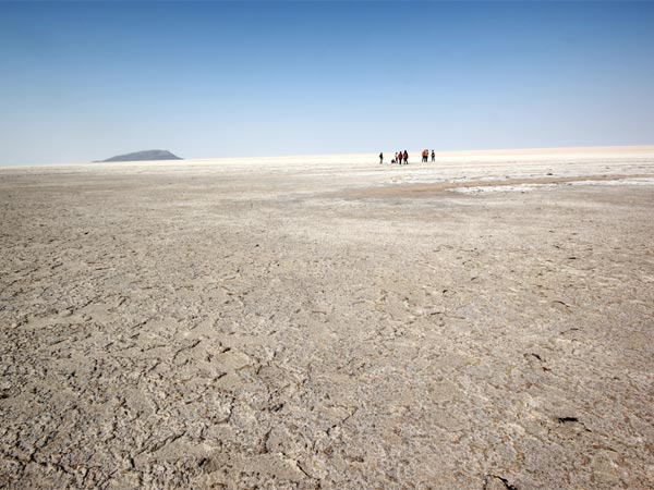 റാന്‍ ഓഫ് കച്ച്- ബോണവില്ലേ സാല്‍ട്ട് ഫ്‌ളാറ്റ്