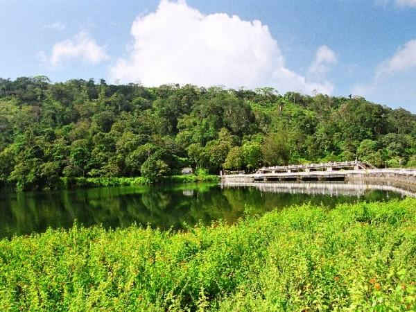 അണ്ണൈ വേളാങ്കണ്ണി ക്ഷേത്രം