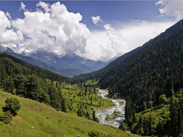 ചത്പാല്‍