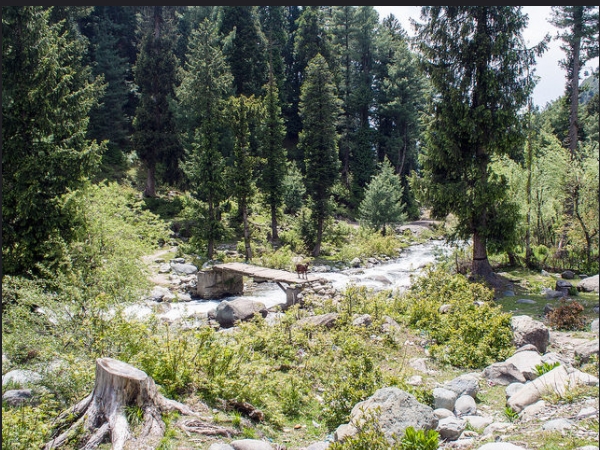 ഡാക്‌സം