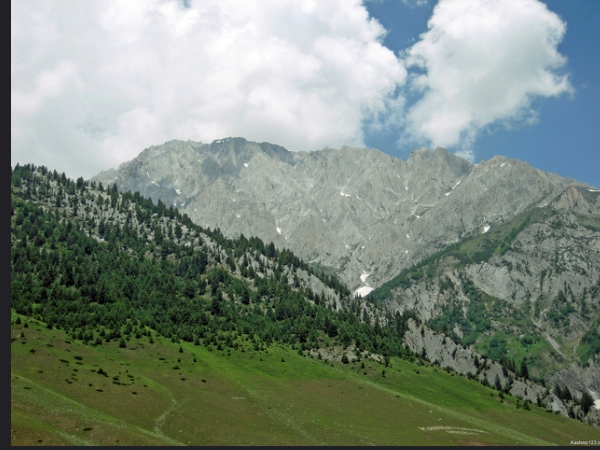 വത്‌ലബ്