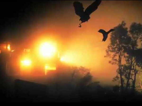 ജറ്റിന്‍ഡ