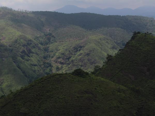 പാഞ്ചാലിമേട് 