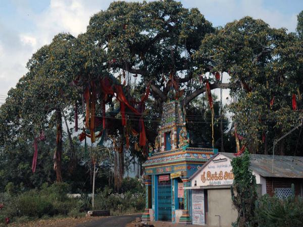 കുട്രാലനാഥര്‍ ക്ഷേത്രം