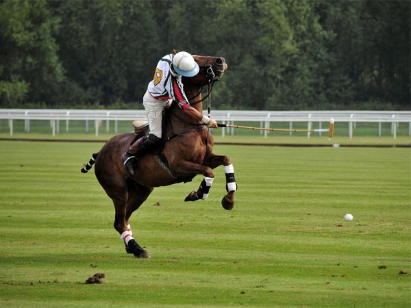 പോളോ കളി