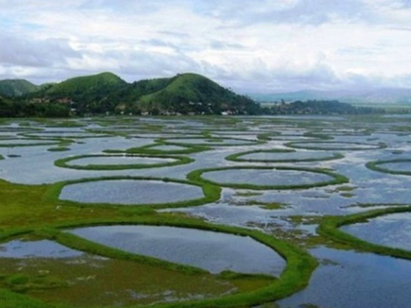 മോയിറാങ് 