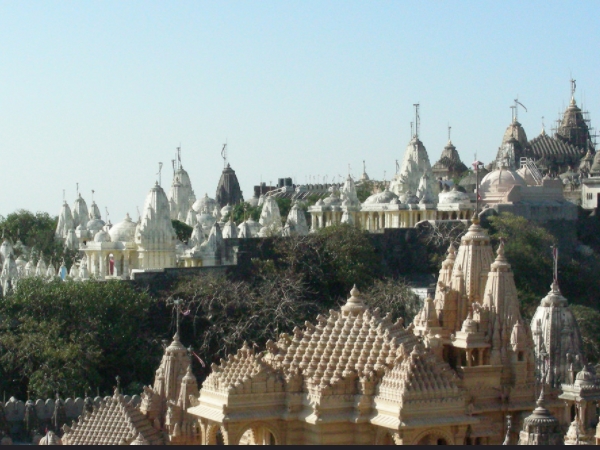 പാലിത്താന