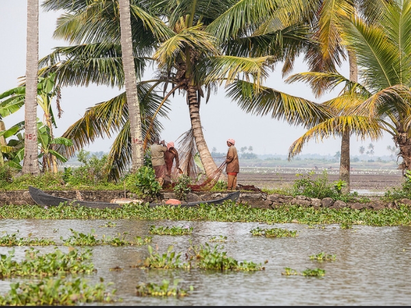 കോട്ടയം