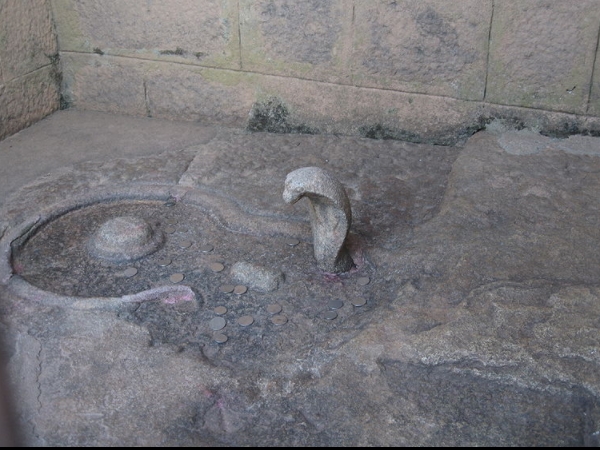 സഹജീവികളോടുള്ള സ്‌നേഹത്തിന്റെ മാതൃക