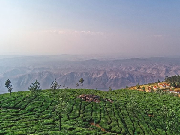 ബ്രിട്ടീഷുകാര്‍ കണ്ടെത്തിയ അത്ഭുതം