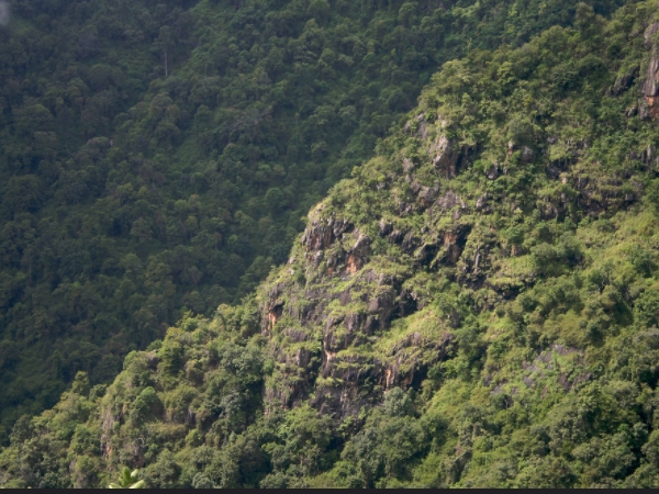 എന്തൊക്കെ കാണണം