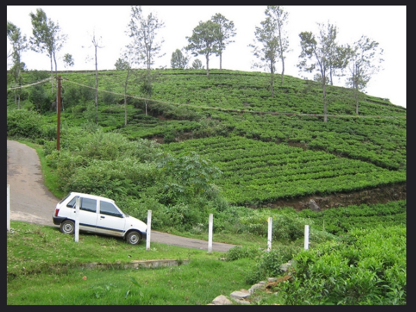 എപ്പോള്‍ കാണണം?