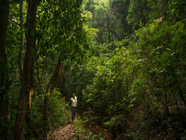 പോപ്പല്‍വാഡി, ഗോവ