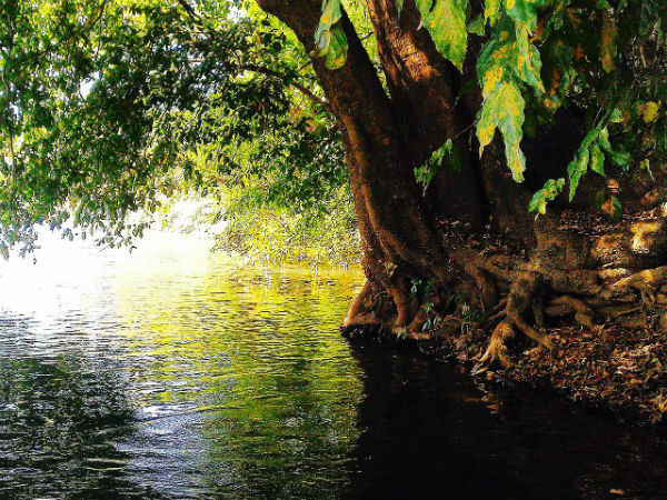 ഹന്‍കന്‍ കര്‍ണ്ണാടക