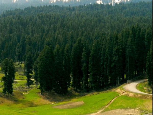 പാലിന്റെ താഴ്‌വര 