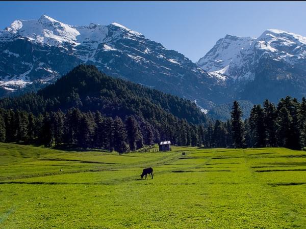 വാര്‍വന്‍ വാലി