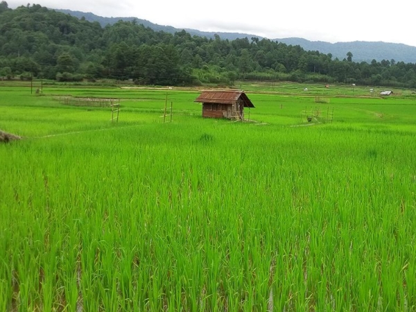  സിറോ, അരുണാചല്‍ പ്രദേശ്