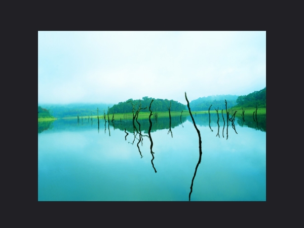 തേക്കടി