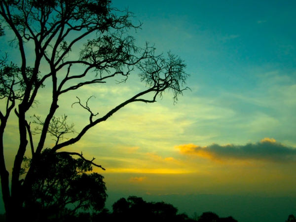  യേര്‍ക്കാട് 