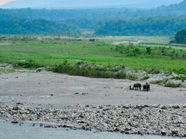 മാനസ് നാഷണല്‍ പാര്‍ക്ക് ആസാം