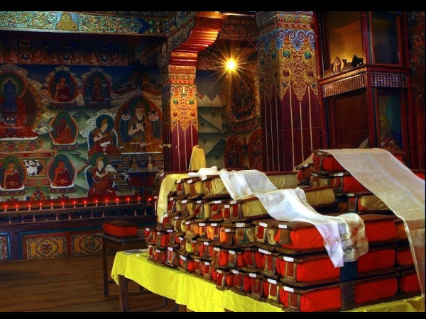 അപൂര്‍വ്വമായ ഗ്രന്ഥ ശേഖരം 